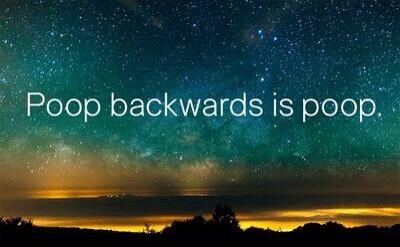 BadAdviceDog tweet picture