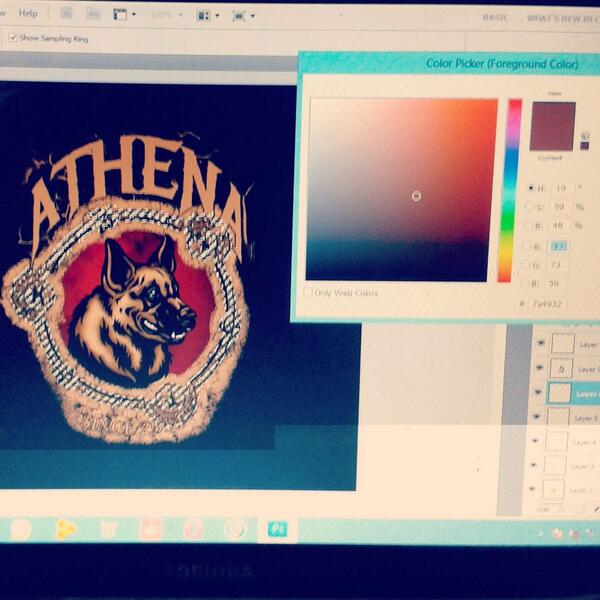 PeaceTruth tweet media