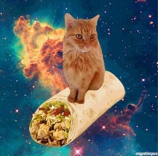 sofaswain's tweet photo. @Martidamus 🐱 http://t.co/Tq27LEBH95