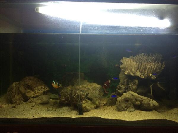 x.com/Bolanet/status…