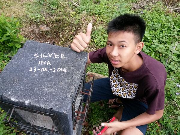 silverindonesia's tweet photo. http://t.co/nAJGVtiZC0