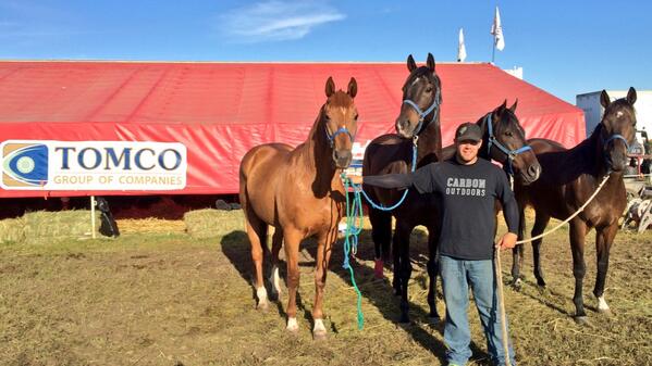 RaeCroteau's tweet photo. New horses acquired from @SinclairCWRace from left to right
#TeamTomco's : 
Vinny
Tom
Bluff 
Meister 
#BadAssRainbow http://t.co/NAuAcjzAES