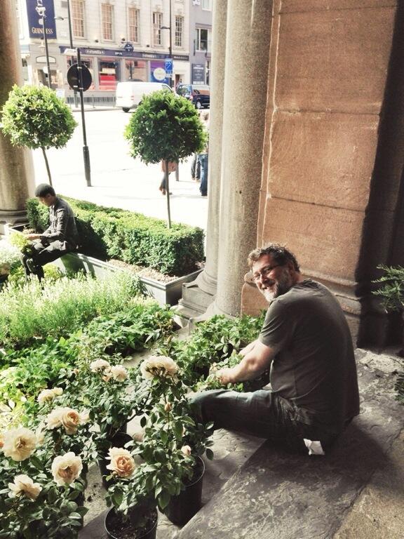 Thegilbertscott's tweet photo. Roses are peach, violets are blue, our garden is in reach, almost ready for a drink or two ... #iceimperialgarden http://t.co/KPNuPgZ4vY