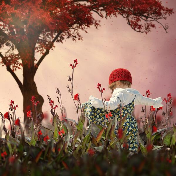 Sigh of the red beauty.... by Caras Ionut