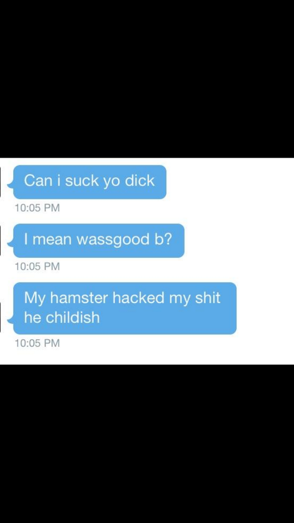 WhiteBoysText's tweet photo. these hamsters are playin http://t.co/hLiTsmavne