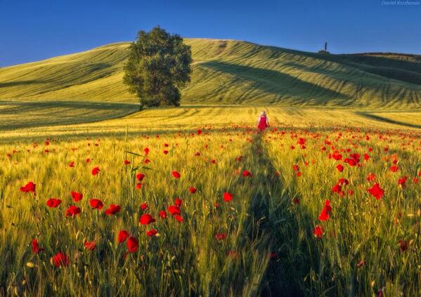 Dreamer @ Tuscany by Daniel Korzhonov