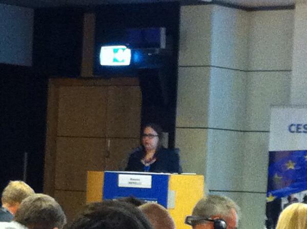 finndaa's tweet image. Data protection an importen issue .. Rauna Nerelli, Finland #CESIweb