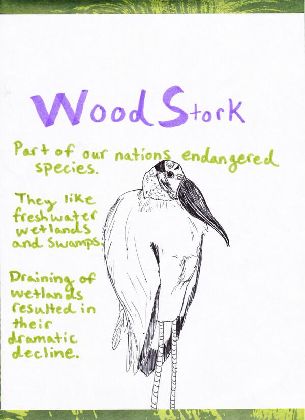 mirgholkhani's tweet photo. Animals of the Prairie #gooseprairieproject #peat #lakecounty http://t.co/Tb6YeHPJWC