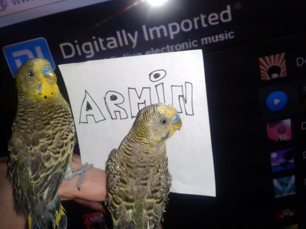 richardgame2's tweet image. #ASOT669 f*ck birds yeahh!!!