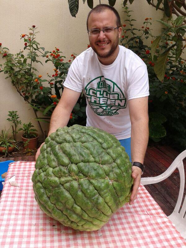 AnaCastavi's tweet photo. @rubenavi23 ve buscando recetas de calabaza http://t.co/Uzjaby4VzA