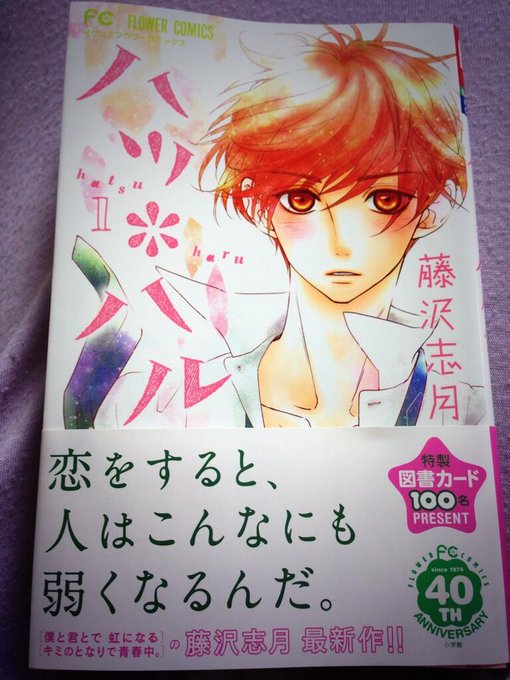 ハツ ハル1巻は無料の漫画村やzip Rarどこにも配信されてない Manga Channel