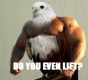 gheorghetheblog's tweet image. yo Germany #committothebit