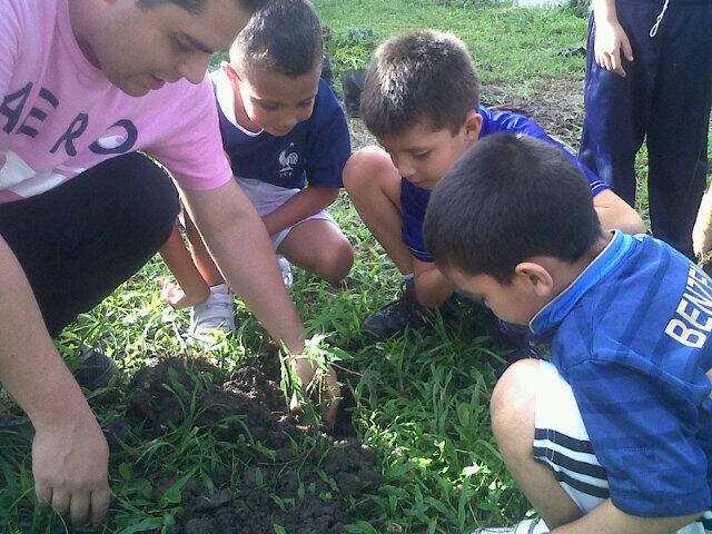 Enlace permanente de imagen incrustada