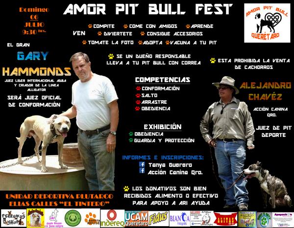 AMORPITBULLQRO's tweet photo. ACOMPAÑENOS... INFO INBOX!! http://t.co/2Zb2HHHDOm