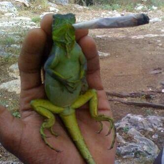 Saurpatchkiddo's tweet image. If you guys could hear this lady's smoker voice right now OMG 😂😂😂