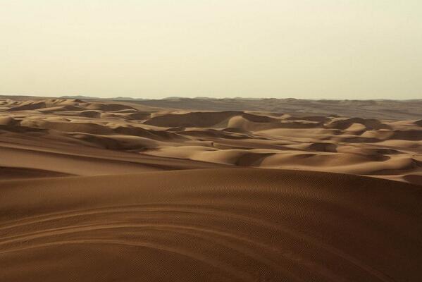 VisitandoPeru's tweet photo. Dunas - Desierto de Perú
Foto - @en_marzo http://t.co/eqi6PRmiUE
