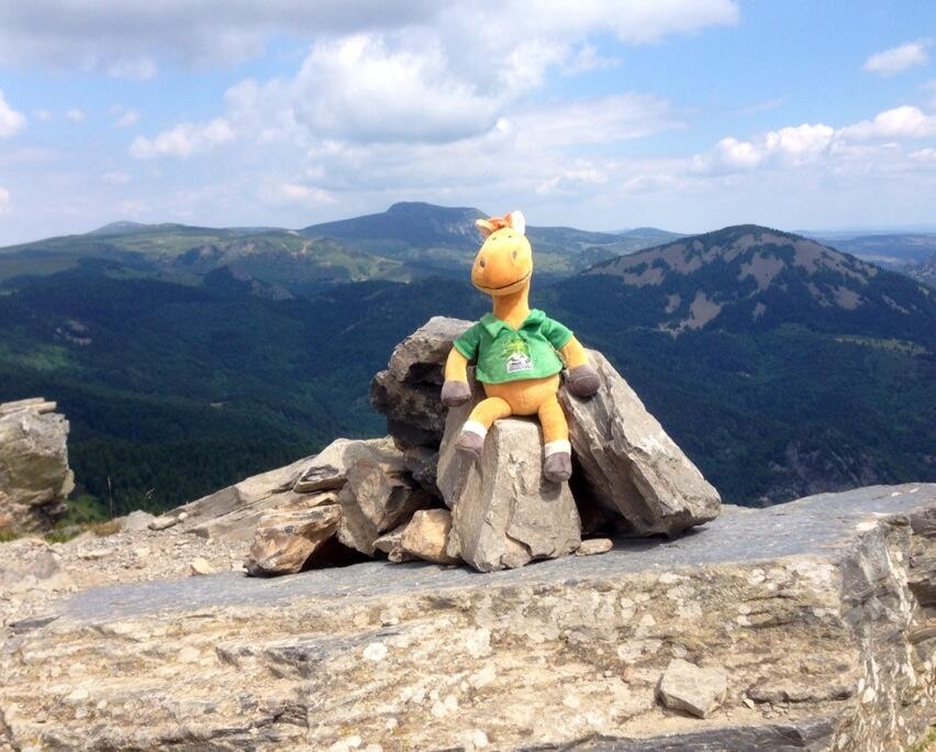 Permalien de l'image intégrée