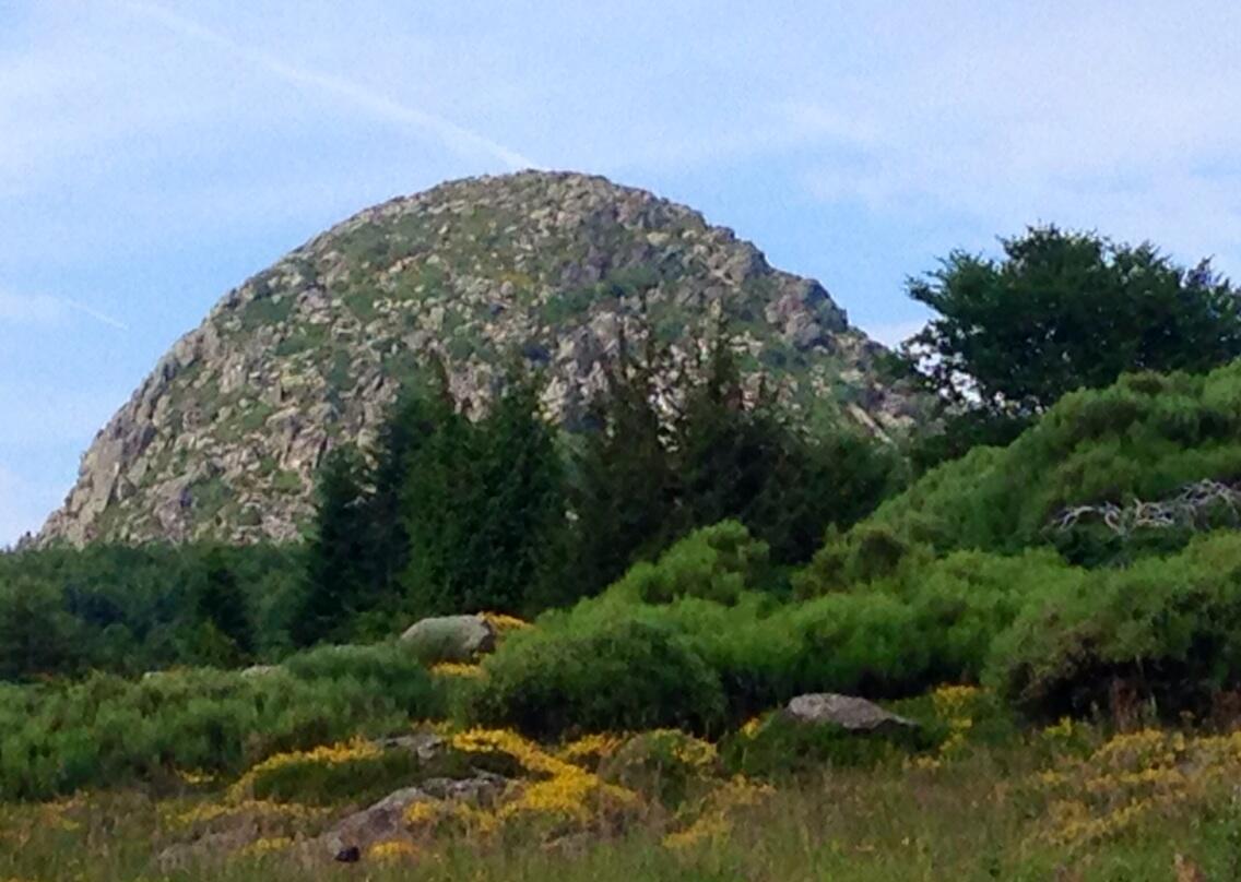 Permalien de l'image intégrée