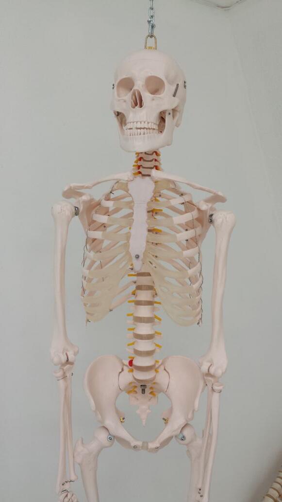 Have you met Bert? Slightly older gent ,fair complexion.  Keen on #Pilates!