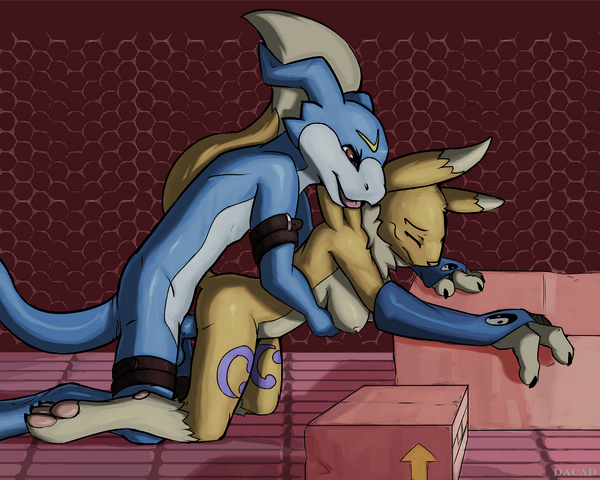 ZorraRenamon tweet picture