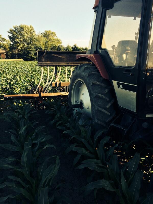 beanboyz's tweet image. #interseeding #annualrye #plant14 #covercrop