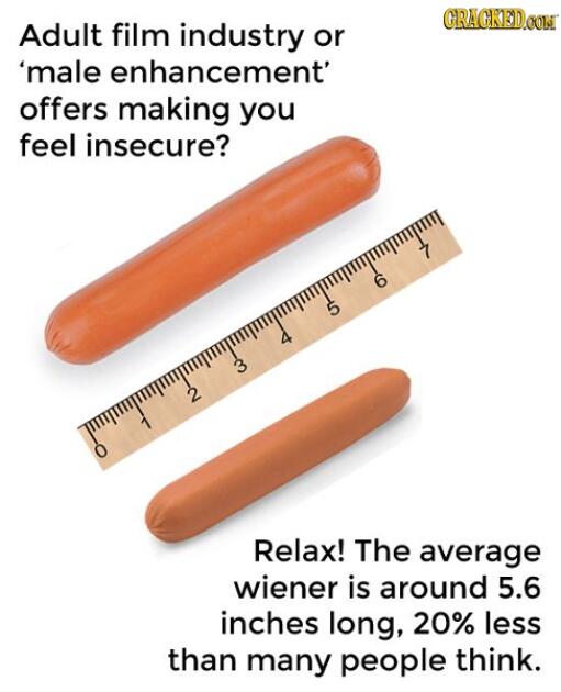 On Twitter The Average Penis Length 20 Things Everyone 