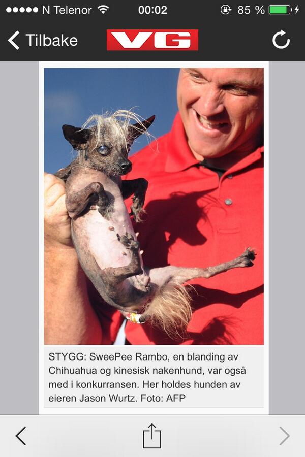 IreneBO's tweet photo. Damn this guy !!!    Holding his dog like this ..... http://t.co/agKYX1hIld