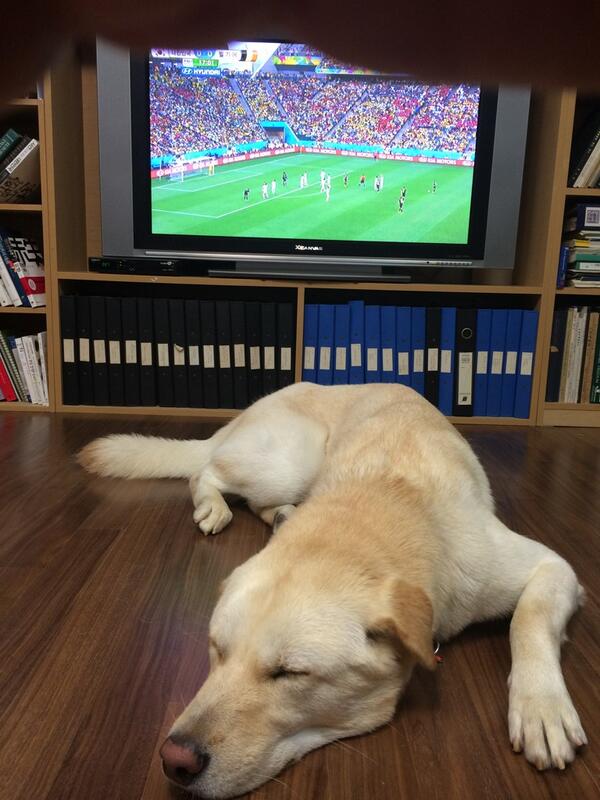 wonsoonpark's tweet photo. 우리 태극전사들이 기적을 일궈주기를! 대박아! 네도 일어나 응원하렴! http://t.co/Epo23DRIWP