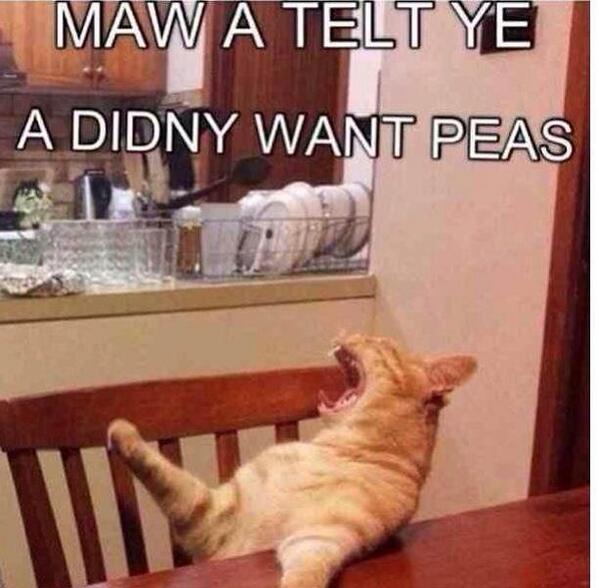 LittleMix's tweet photo. Me when me mam makes Sunday dinner #naypeasman #howmanytimes cant wait to see @normathirlwall for a good roast!xjadex http://t.co/oTpwcSG0L2