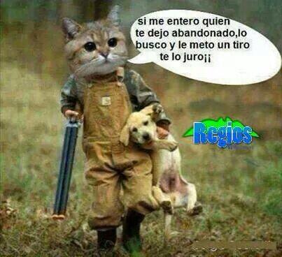 pascual  (@chenchopascual) on Twitter photo 