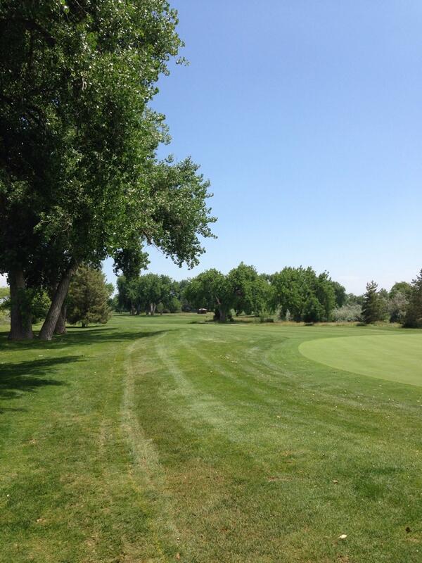 d_held86's tweet photo. Root pruning complete. Should really improve the right side of this green. http://t.co/6oYji4ocv1