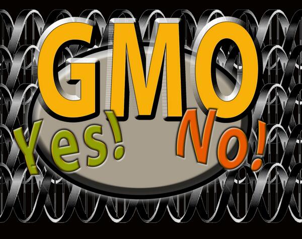 MichaelKOlson's tweet photo. Some studies prove GMO foods are safe &amp; other studies prove illness &amp; cancer – who is right? http://t.co/jC4UQjh4Wi http://t.co/wIZHnIAPWn