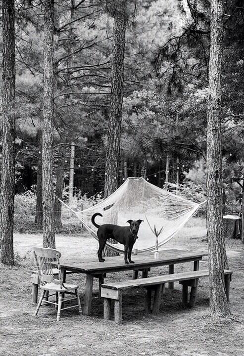 Cleaning up after dinner in #Mississippi