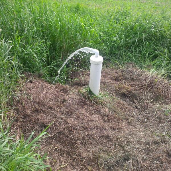 CMack_25's tweet image. This my friends is a site for sore eyes!! She&apos;s pumpin now!! #sewerproblems #farmlife