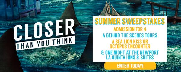 Submit your entry for this week's Summer Sweepstakes while you still can here: bit.ly/1uYPGFe!