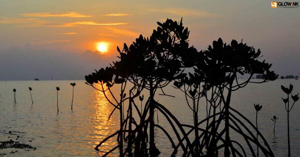 sunrise at hutan bakau pari island <a href="/ZonaFotografi/">IG:ZonaFotografi</a>