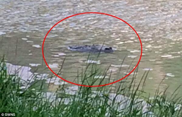 And we'll solve the mystery of the Bristol crocodile -  is it a croc or is it a bin bag? 0207 173 5555 is the number.