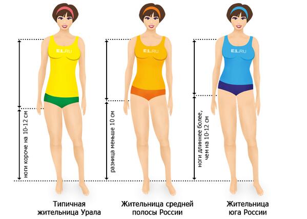 теория экономического анализа учебн