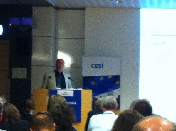 finndaa's tweet image. IT skills passport,Ralf Martin, Germany #CESIweb ... in Denmark we have had IT skills passport for more than 10 years