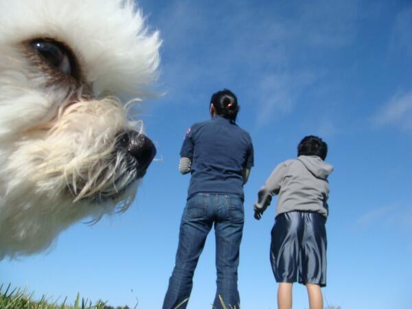 ShoutLK's tweet photo. Doggie Photobomb! #FunnyFriday http://t.co/zWT6hiy3JS