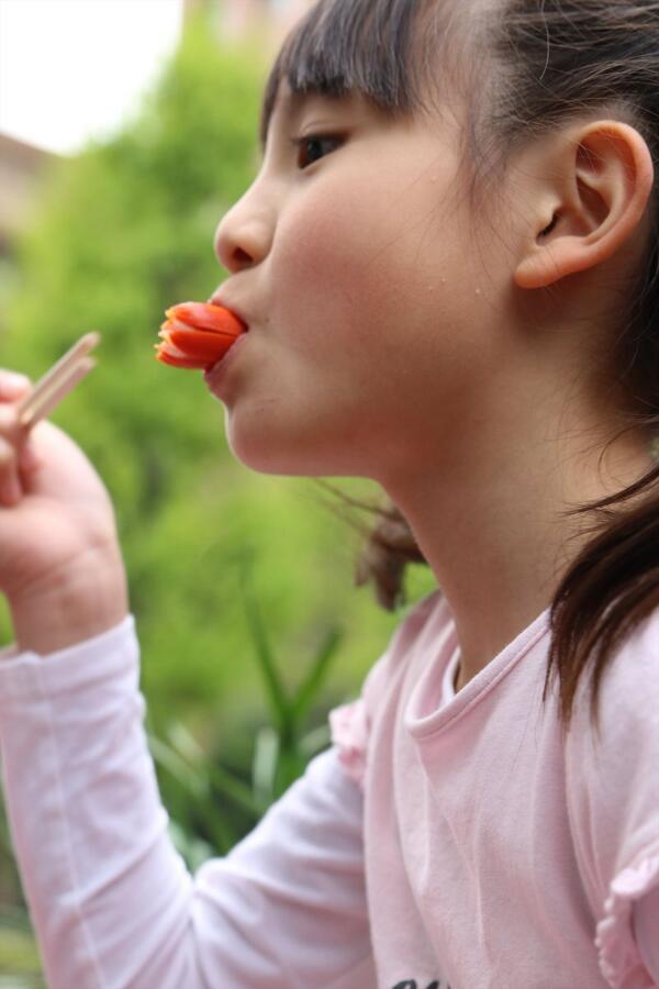 丸本凛　小学生 