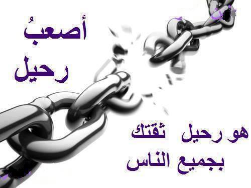 sayed abdo (@sayedabdo_94) on Twitter photo 