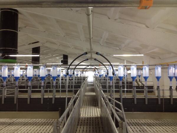 EdGubbels's tweet photo. The renovation of the first gestation houses @miratorg have been completed. Fancom Feed and Climate. http://t.co/lj8Yoj5u5J
