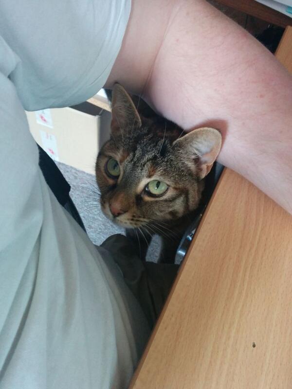 rogerruckstuhl's tweet image. Hilfe bei der #Keywordoptimierung #Adwords ??? ;-)