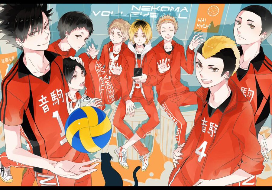 音駒 ねこま 高校メンバー一覧で ポジションや能力 誕生日や特技もあわせて紹介 Ryoblog