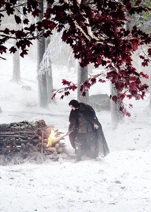 Game of Images. tweet media