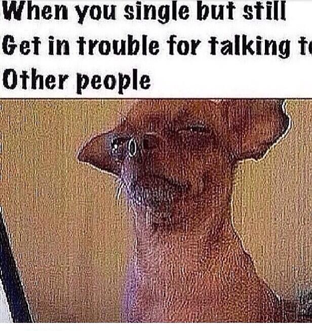 This is so me haha http://t.co/RodDxgLEYP<a href="/tag/beautifulfriendsbyheart"class="tags"><span>#beautifulfriendsbyheart</span></a>