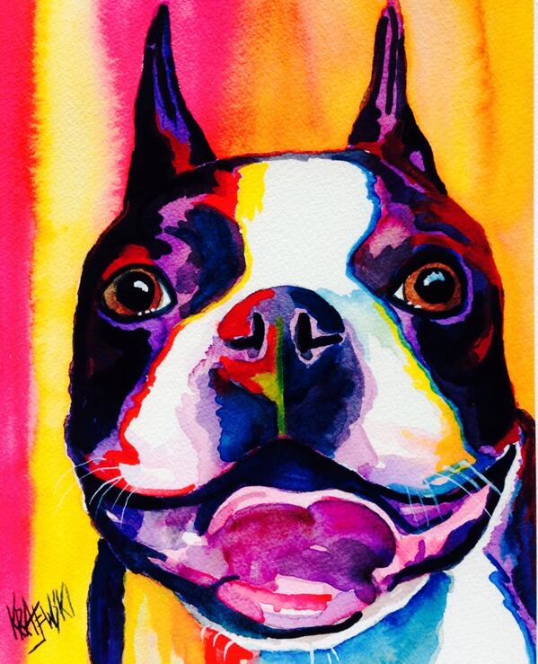 grahamjwpollard's tweet image. @LondonLGBTPride  were going are You??? Kiki #BostonTerrierModel We Love Conchita Wurst ;-) xxx