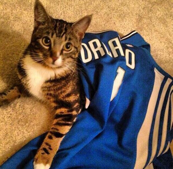 KristenLedlow's tweet image. @IamAaronGordon @elfrid @DMarble4  ...glad to have y&apos;all in Orlando! Don&apos;t let this little guy down.