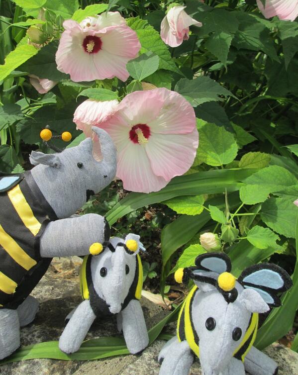 SosuPureHoney's tweet photo. Sosu the Rhino Bee and the Pup-Bees check out @Zilker_Park Botanical Garden in Austin, Texas. http://t.co/Di3FEBOTG1 http://t.co/diY3YMoDOe